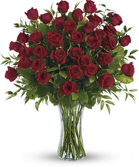 36 Red Roses