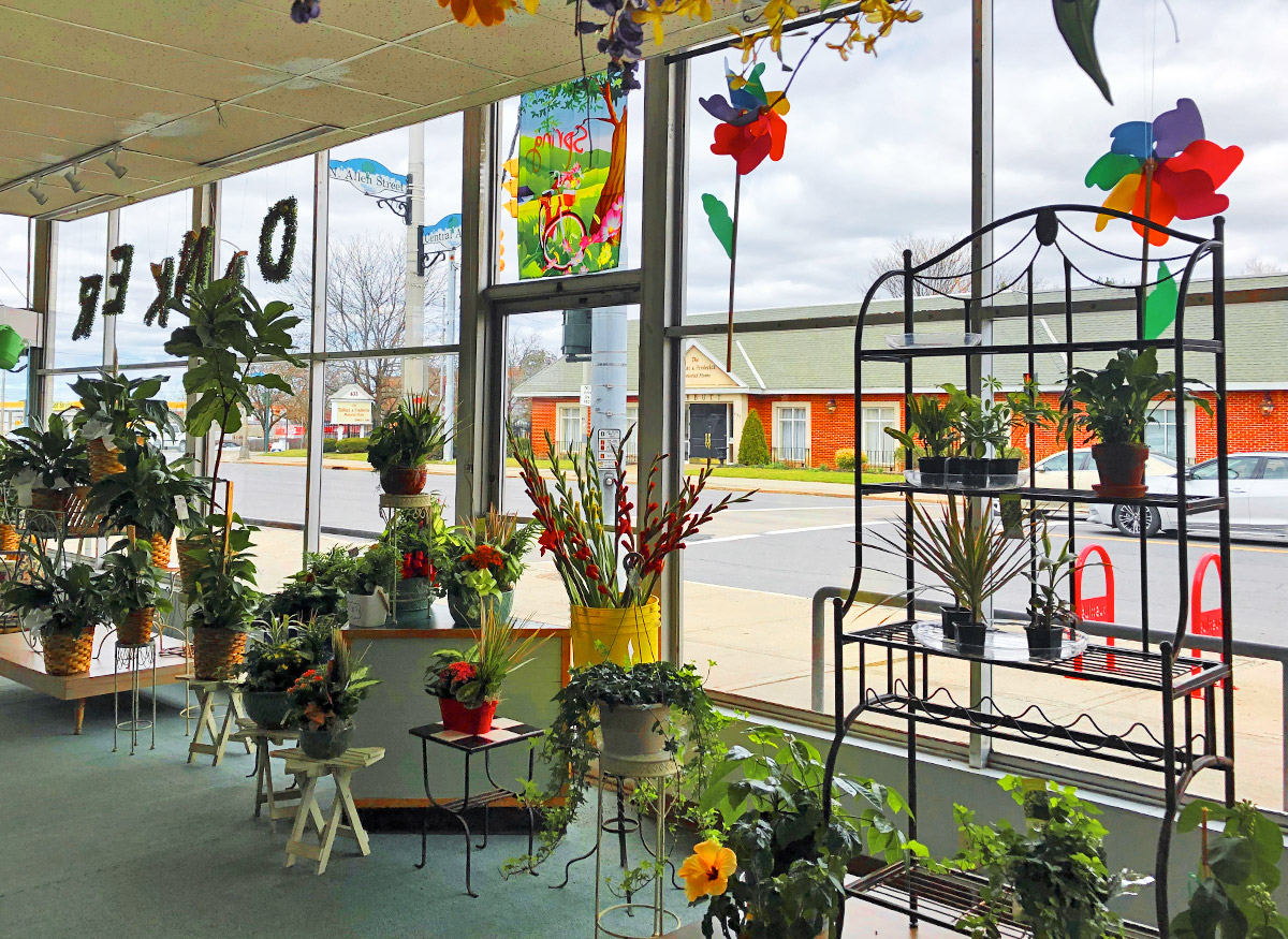 A wide range of colorful floral arrangements, awaiting their new home